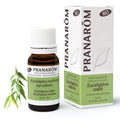 Huile Essentielle Eucalyptus Radié BIO