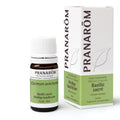 Huile Essentielle Basilic BIO