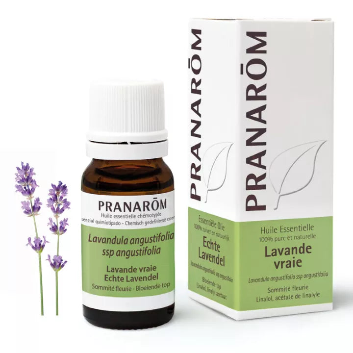 Huile Essentielle Lavande Vraie BIO