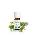 Huile Essentielle Sapin de Sibérie