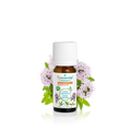 Huile Essentielle Thym à bornéol BIO