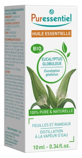 Huile Essentielle Eucalyptus Globuleux BIO